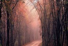 28圈：[CBA]常规赛12月23日：浙江VS广州 吴前集锦.