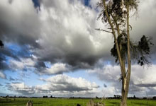 28圈:怀森:被皇马关注令人自豪,但现在没想转会只想好好表现.