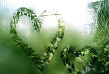 28圈:球员锦标赛:墨菲连赢三局险胜霍金斯,世界第一.