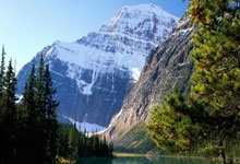 回声报:如果纽卡不得不出售伊萨克,他们的要价也将超1亿镑.